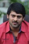 prabhas-stills