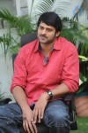 prabhas-stills