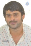 prabhas-stills