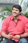 prabhas-stills