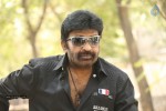 rajasekhar-new-gallery