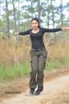 amala-paul-latest-photo