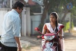 amala-paul-new-gallery