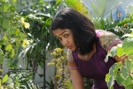 ananya-stills