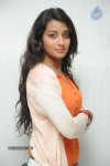 bhanu-sri-stills