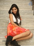 bindhu-new-photos