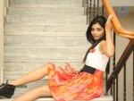 bindhu-new-photos