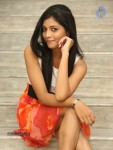 bindhu-new-photos