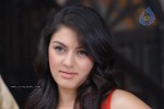 hansika-motwani-gallery