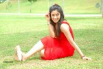 harika-new-gallery