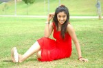 harika-new-gallery