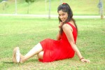 harika-new-gallery