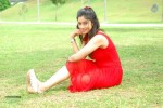 harika-new-gallery