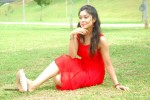 harika-new-gallery