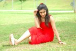 harika-new-gallery