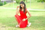 harika-new-gallery