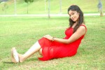 harika-new-gallery