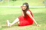 harika-new-gallery