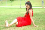 harika-new-gallery