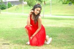 harika-new-gallery