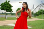 harika-new-gallery