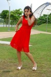 harika-new-gallery