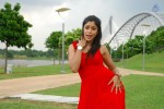 harika-new-gallery