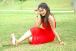 harika-new-gallery