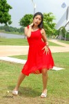 harika-new-gallery