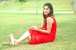 harika-new-gallery