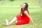 harika-new-gallery