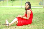 harika-new-gallery