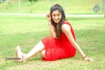 harika-new-gallery