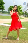 harika-new-gallery