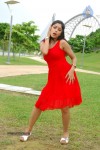 harika-new-gallery