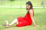 harika-new-gallery