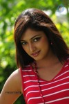 haripriya-new-gallery