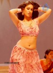 ileana-new-photo-gallery