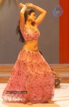 ileana-new-photo-gallery