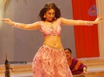 ileana-new-photo-gallery