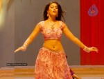 ileana-new-photo-gallery