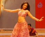 ileana-new-photo-gallery