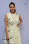 lakshmi-manchu-new-stills