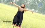 madhu-sharma-latest-gallery