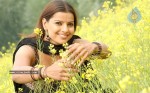 madhu-sharma-latest-gallery