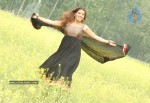 madhu-sharma-latest-gallery