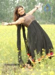 madhu-sharma-latest-gallery