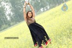 madhu-sharma-latest-gallery