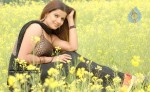 madhu-sharma-latest-gallery