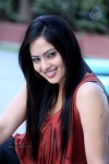 nikesha-patel-latest-gallery